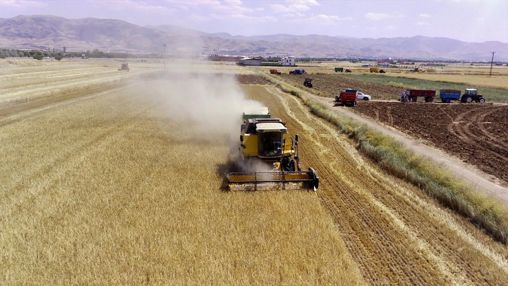 'Elazığ'da son yılların en yüksek arpa ve buğday rekoltesi bekleniyor'