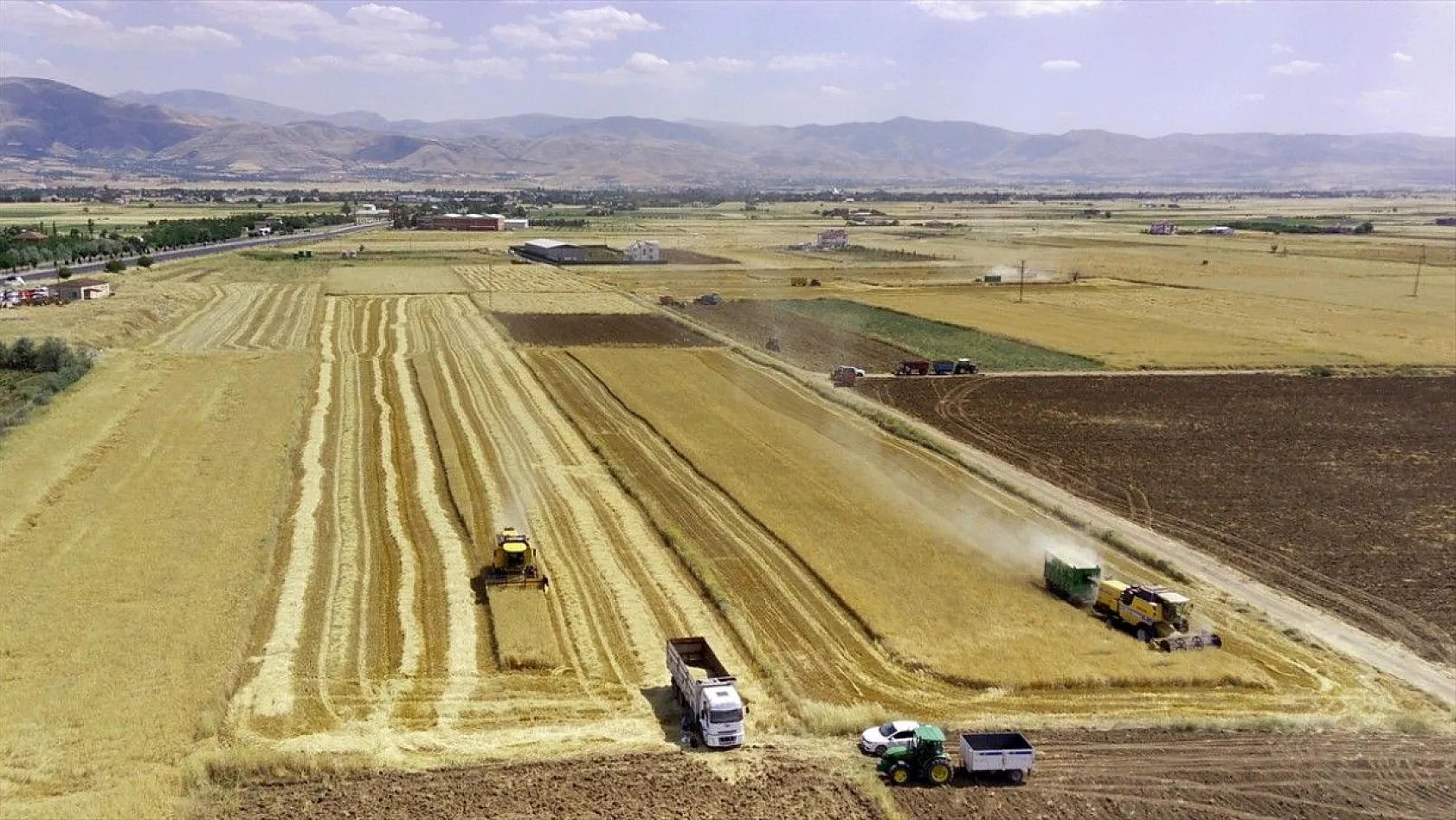 'Elazığ'da son yılların en yüksek arpa ve buğday rekoltesi bekleniyor'