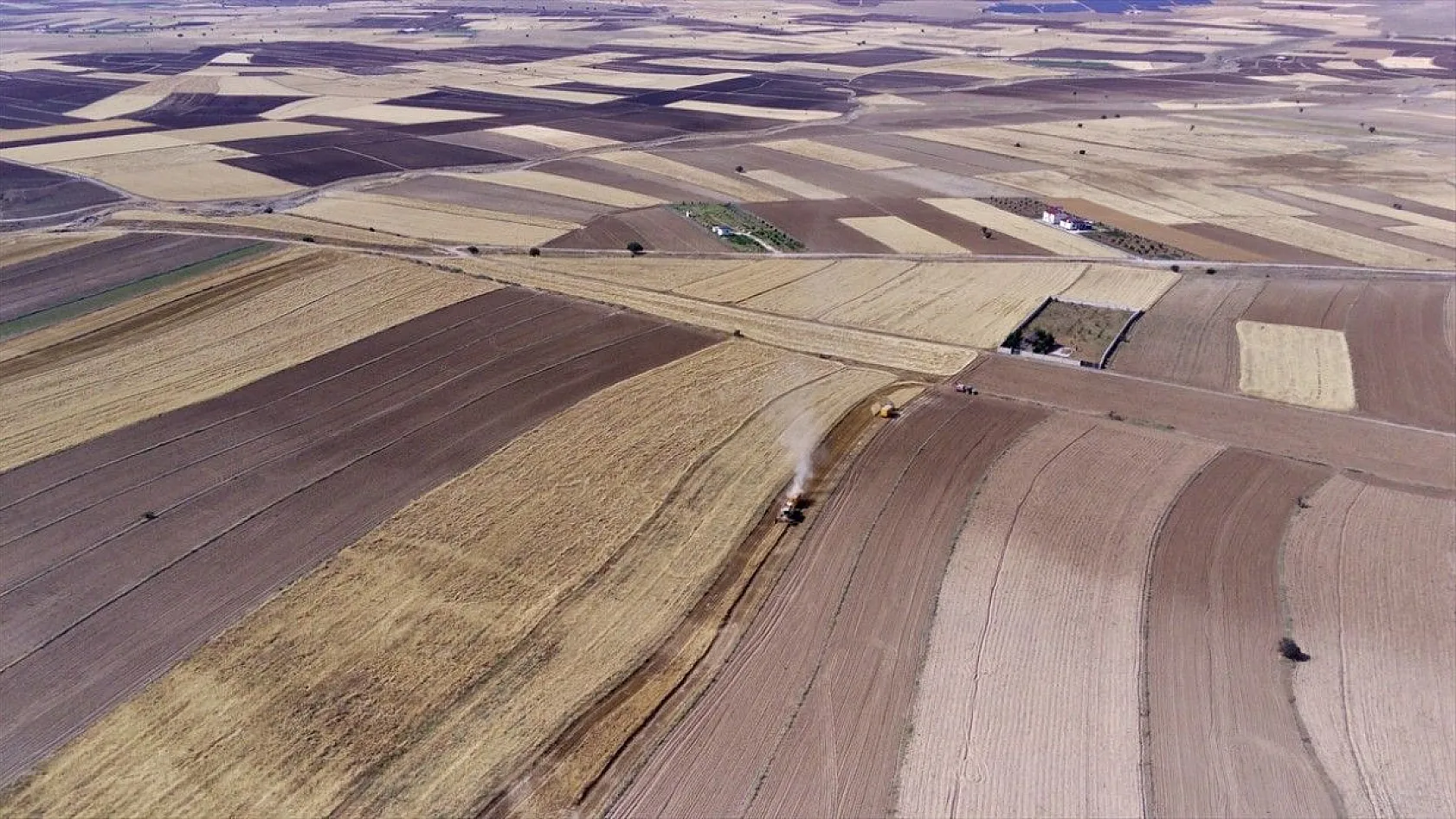 'Elazığ'da son yılların en yüksek arpa ve buğday rekoltesi bekleniyor'