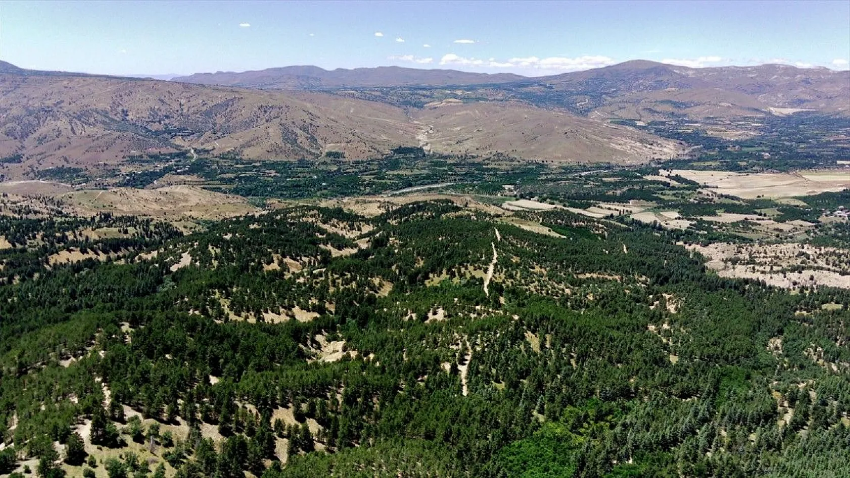 40 yıl önce dikilen fidanlar bozkırı ormana dönüştü