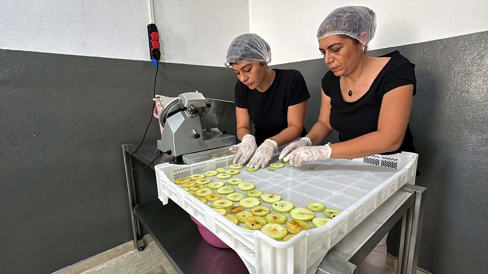 Girişimci kız kardeşler, birikimlerine devlet desteğini de katarak tesis kurdu