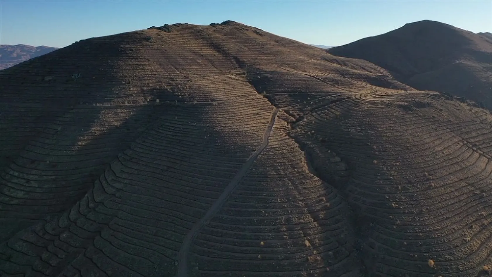 Doğu Anadolu'nun 'bozkır toprakları' dikilen milyonlarca fidanla yeşerecek