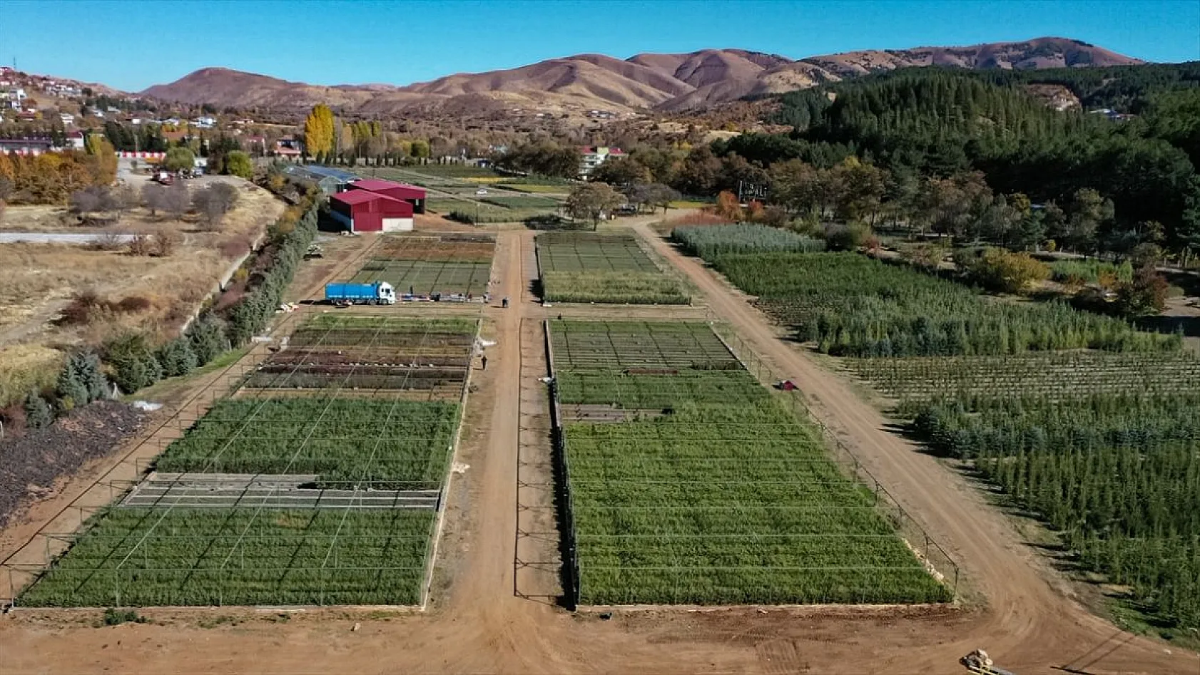Doğu'da yetiştirilen milyonlarca fidan ülkeye nefes oluyor