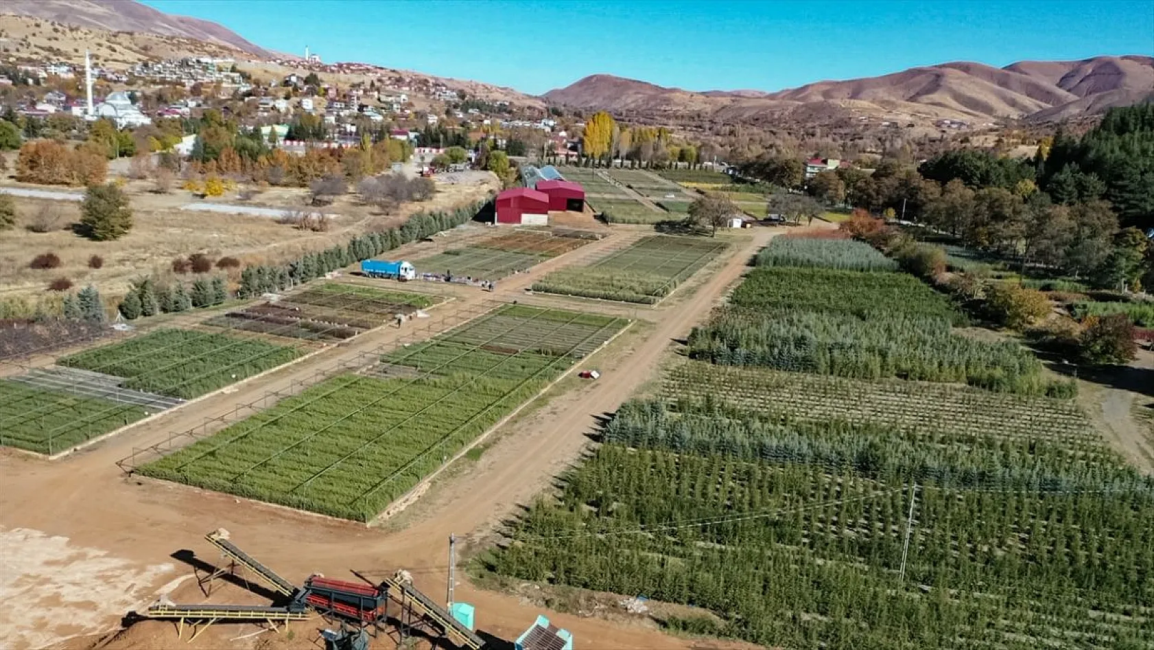 Doğu'da yetiştirilen milyonlarca fidan ülkeye nefes oluyor