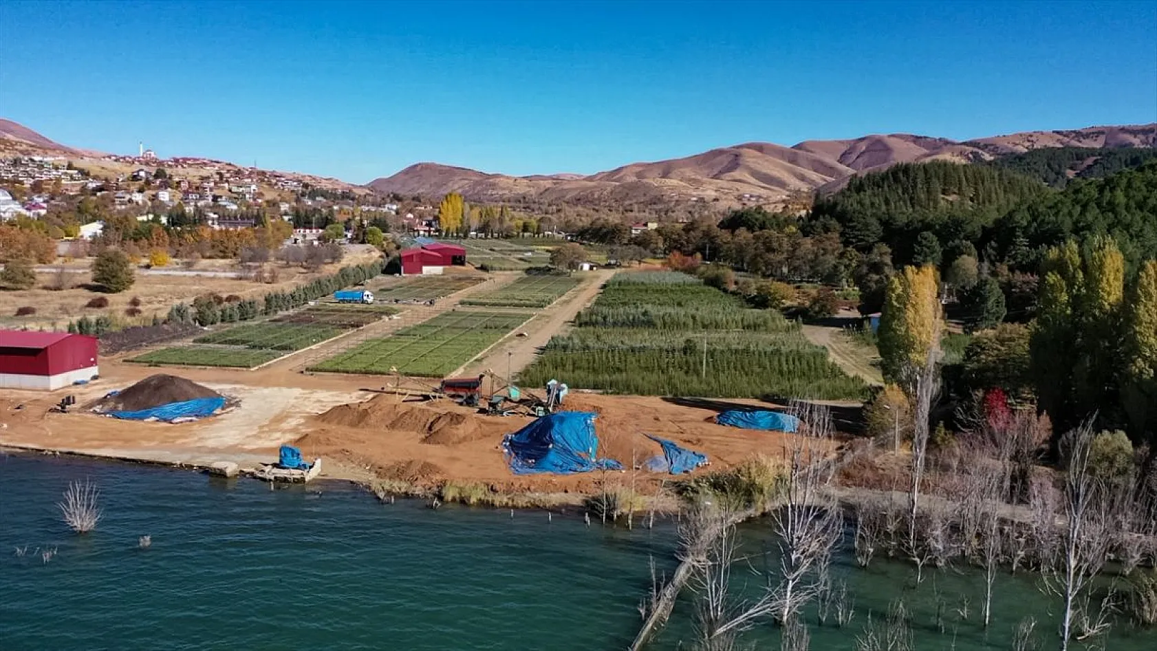 Doğu'da yetiştirilen milyonlarca fidan ülkeye nefes oluyor