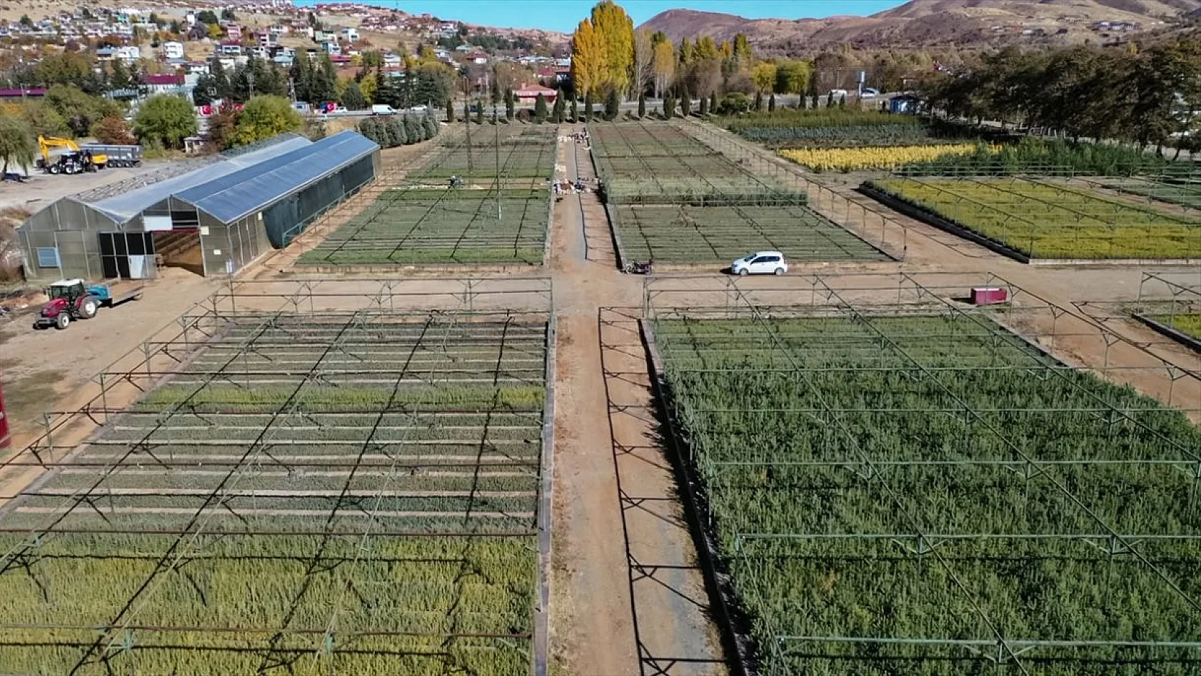 Doğu'da yetiştirilen milyonlarca fidan ülkeye nefes oluyor