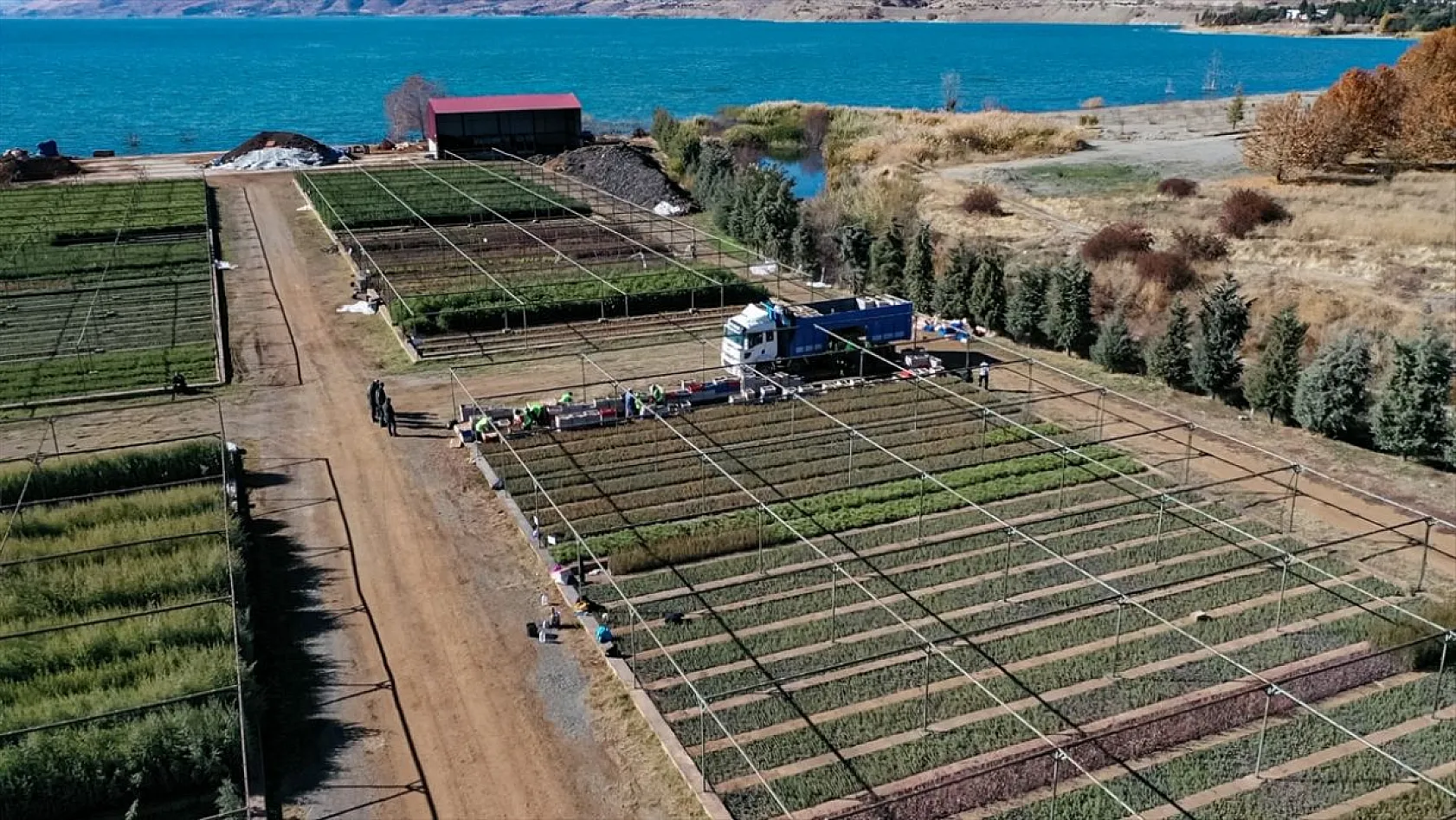 Doğu'da yetiştirilen milyonlarca fidan ülkeye nefes oluyor