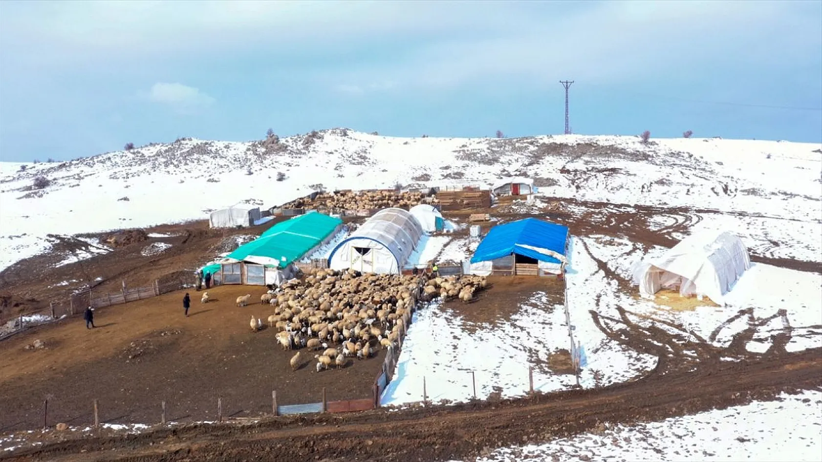 Karla kaplı meralar kuzu doğumlarıyla şenlendi