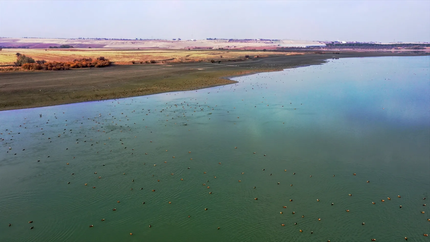 Cip Baraj Gölü binlerce göçmen kuşu ağırlıyor