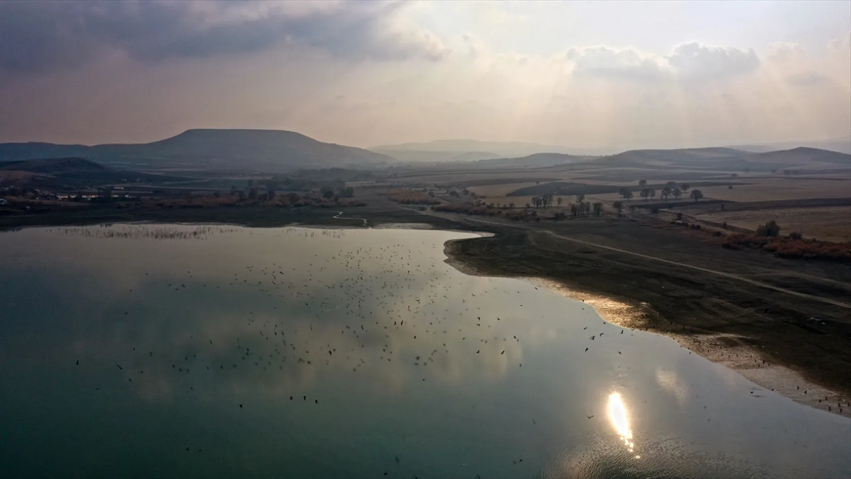 Cip Baraj Gölü binlerce göçmen kuşu ağırlıyor