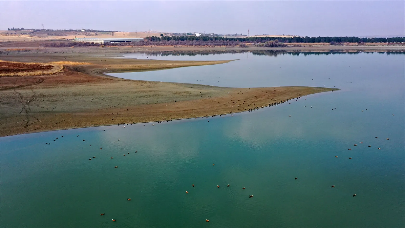 Cip Baraj Gölü binlerce göçmen kuşu ağırlıyor