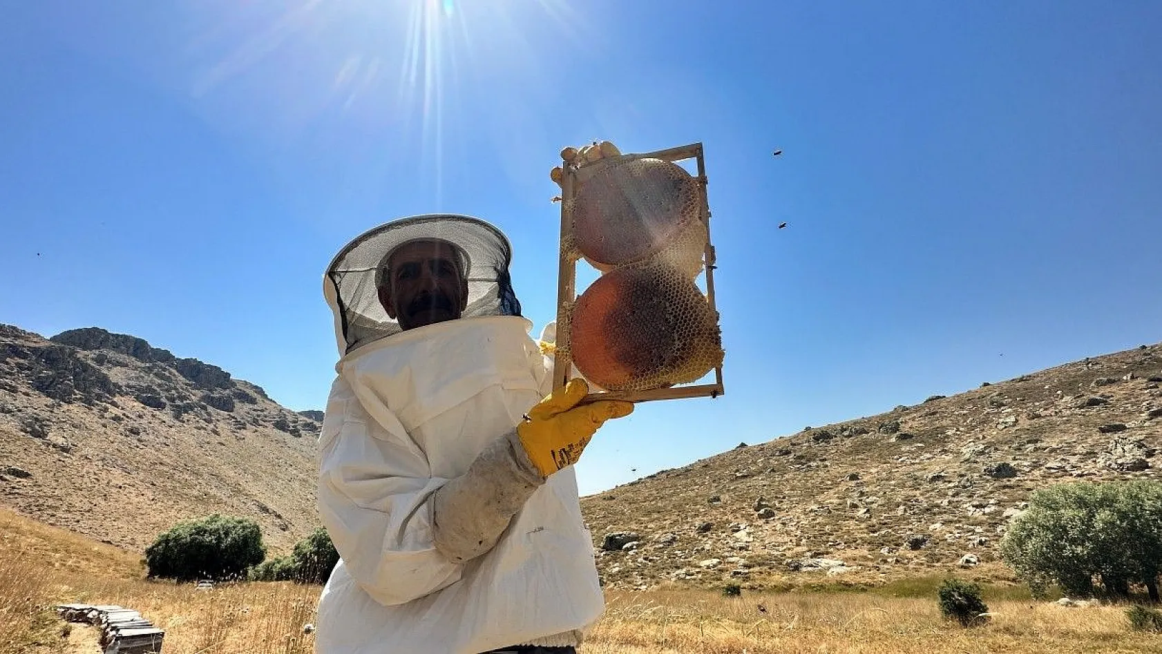 Tescilli 'geven' balının hasadı başladı