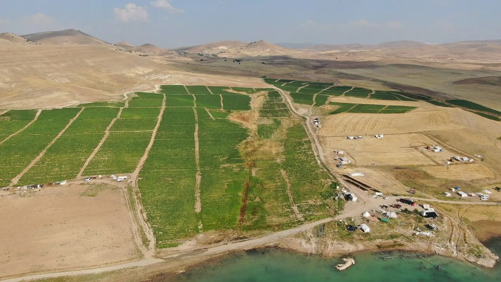 Üretici: 'Gelin tarladan alın'