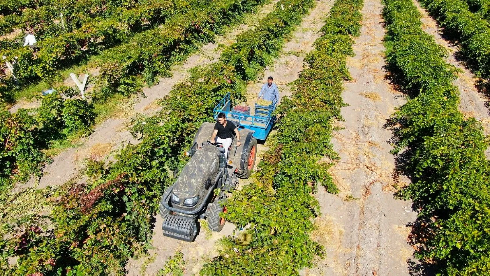 Mühendislikten çiftçiliğe