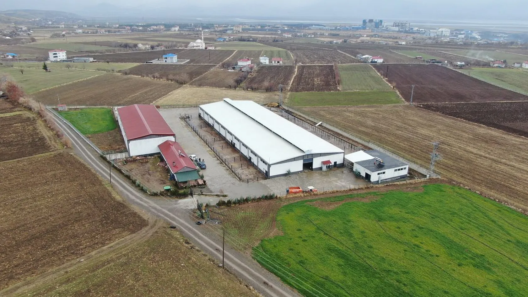 Almanya'dan köyüne döndü, devlet desteğiyle çiftlik kurdu