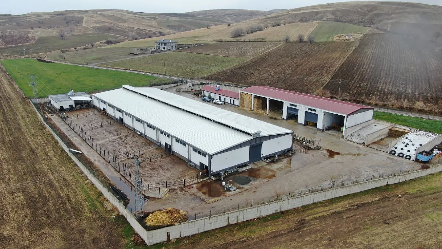 Almanya'dan köyüne döndü, devlet desteğiyle çiftlik kurdu