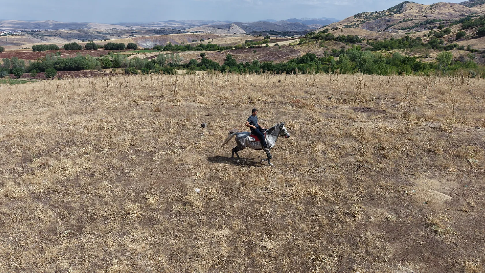 Osmanlı'nın unutulan atları Elazığ'da yeniden yetiştiriliyor