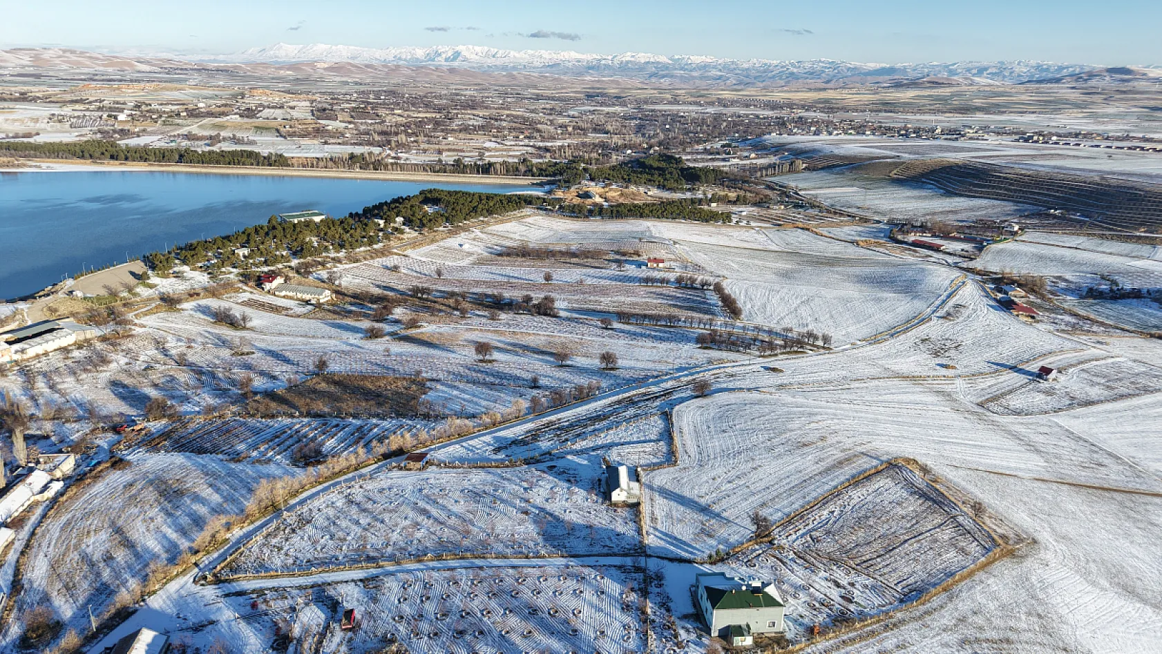 Doğanın sessiz misafirleri 'kara bataklar''