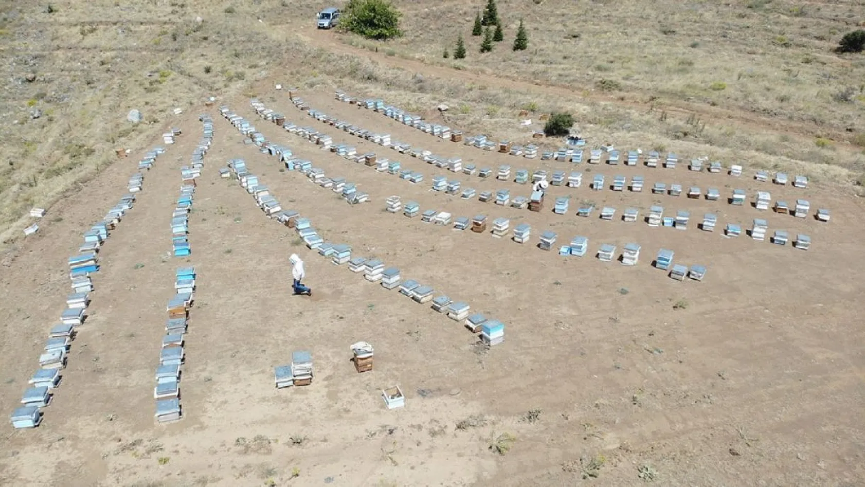 Arıcılar bu yıl da umduğunu bulamadı