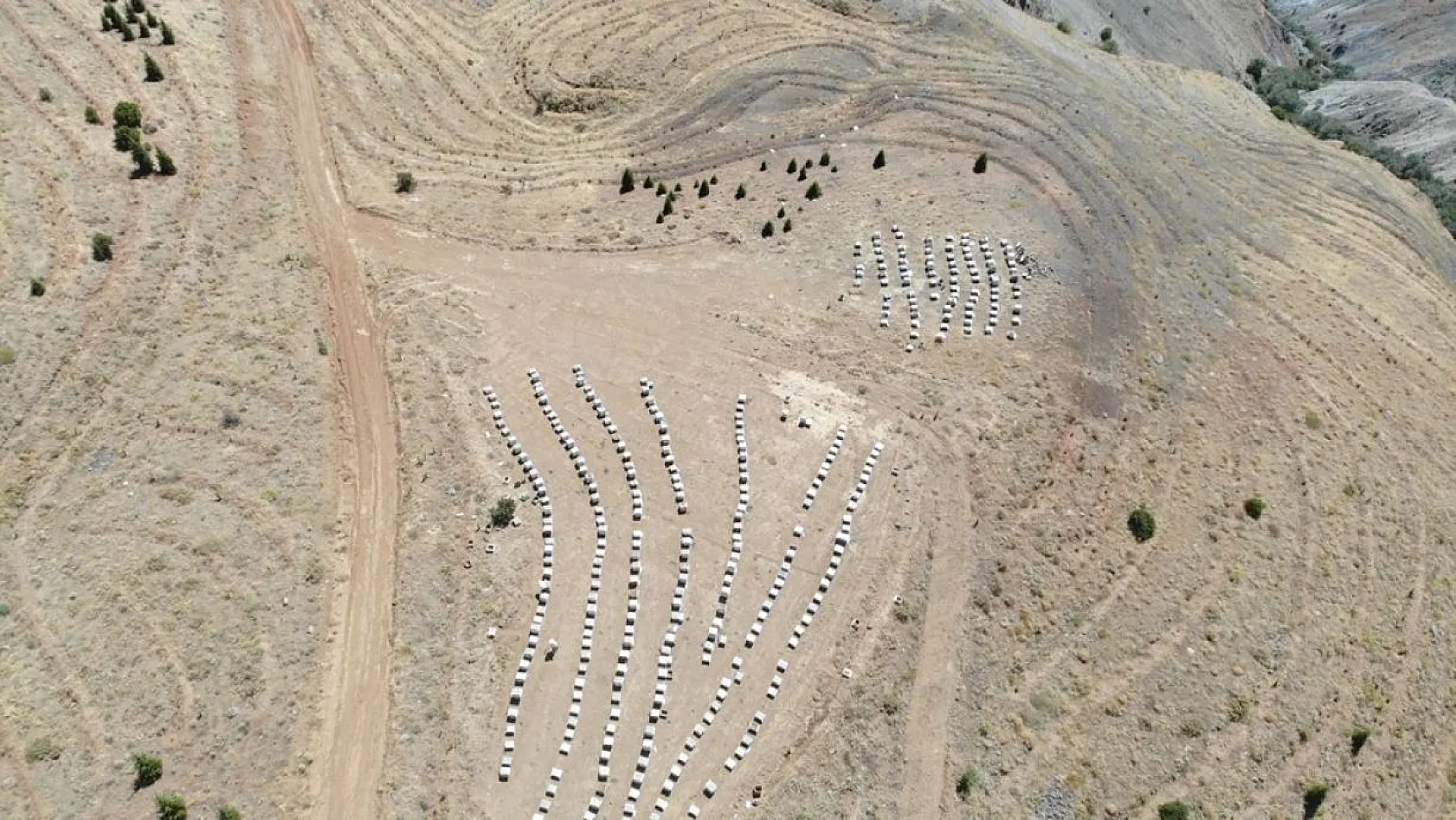 Arıcılar bu yıl da umduğunu bulamadı