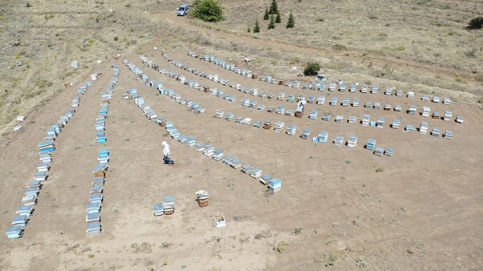 Arıcıların sıcakta zorlu mesaisi sürüyor