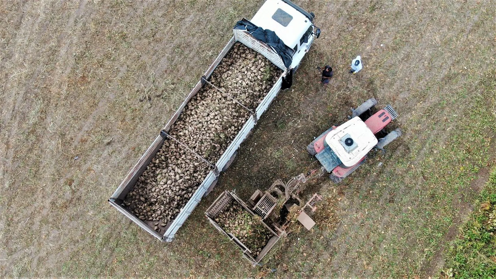 Çiftçiler taban fiyatından memnun