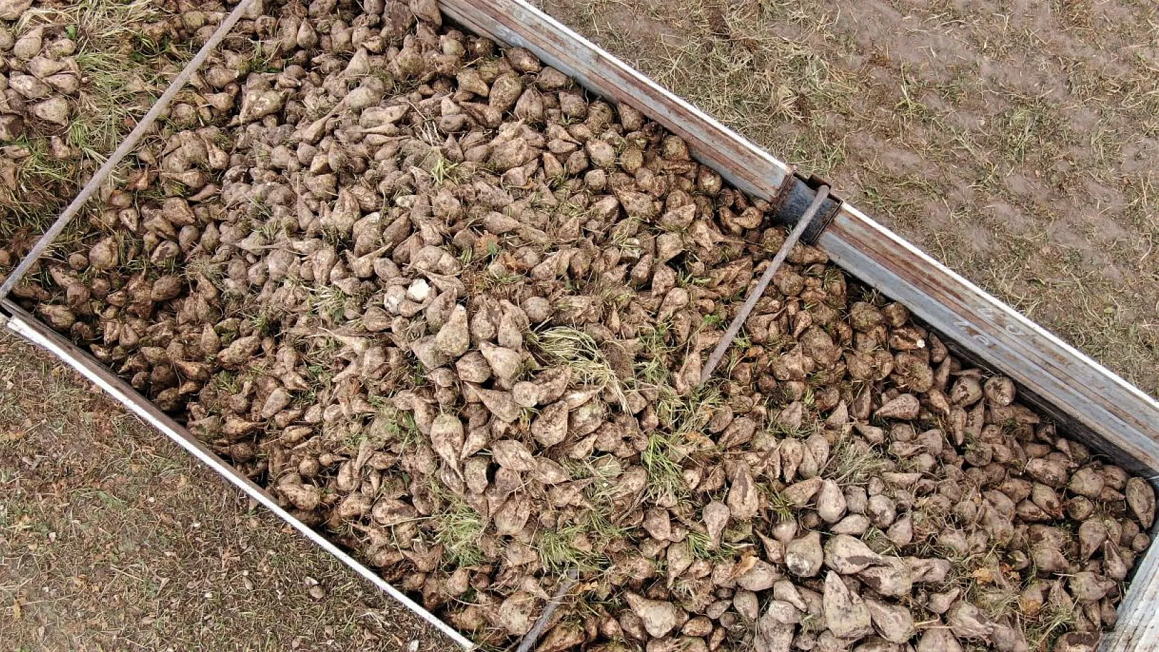 Çiftçiler taban fiyatından memnun