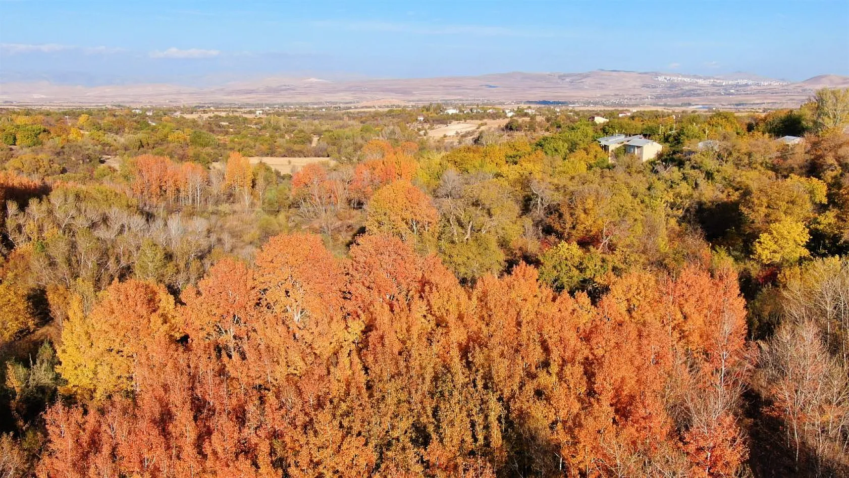 Elazığ'da sonbahar güzelliği