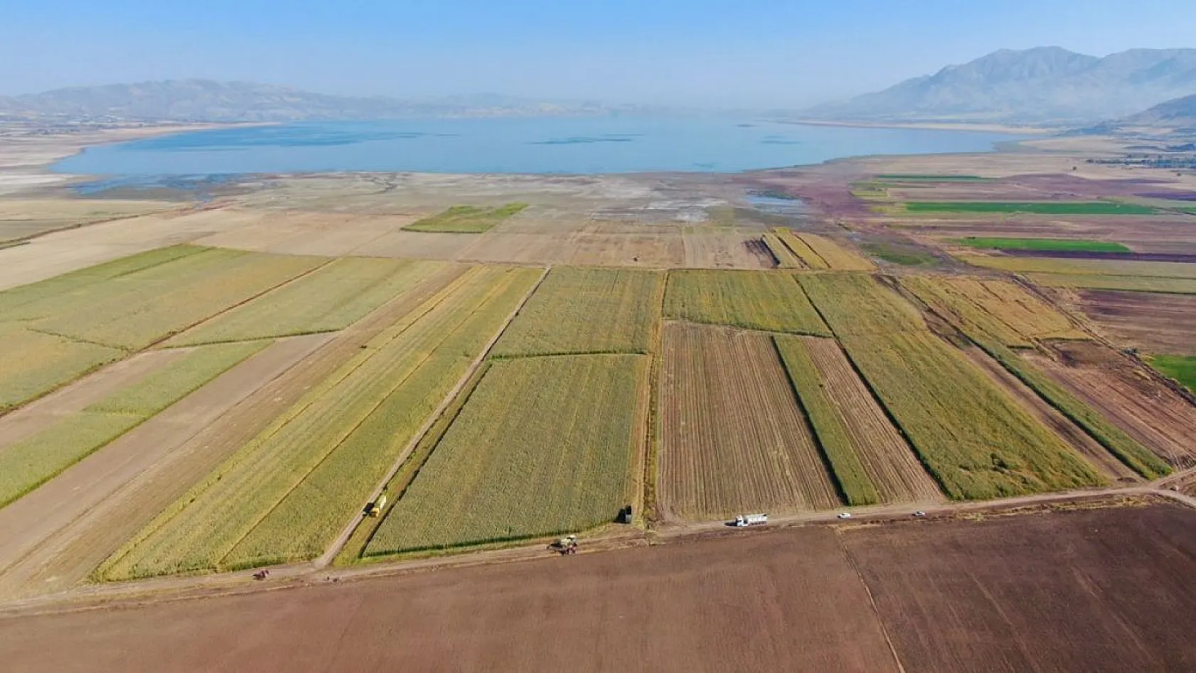 Silajlık mısır hasadı başladı