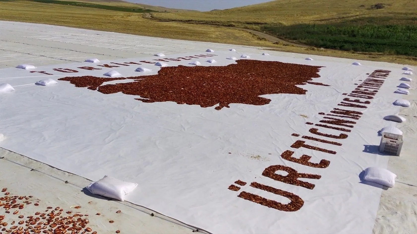 Mevsimlik işçiler kurutmalık domateslerden Türkiye haritası yaptı