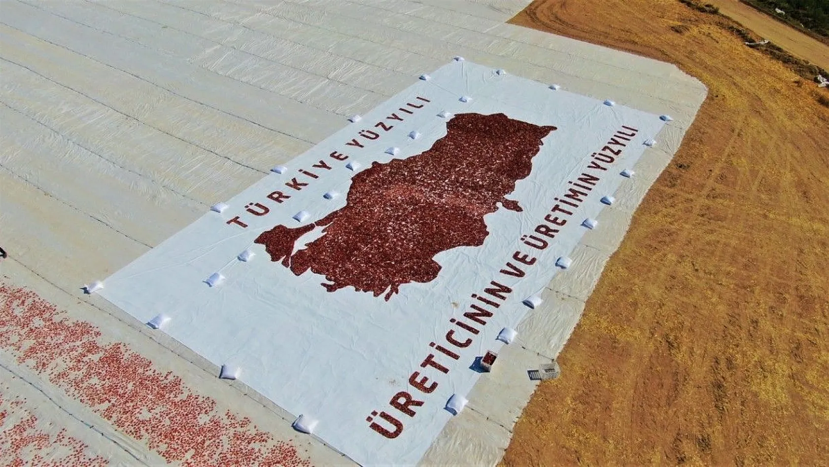 Mevsimlik işçiler kurutmalık domateslerden Türkiye haritası yaptı