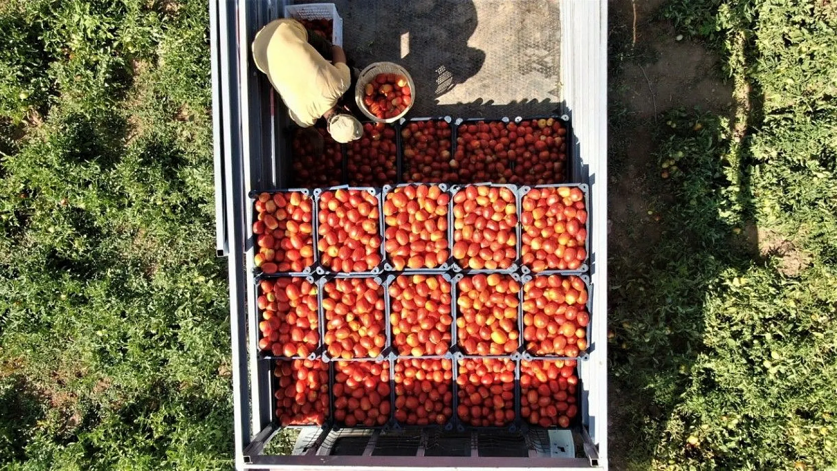 Mevsimlik işçiler kurutmalık domateslerden Türkiye haritası yaptı