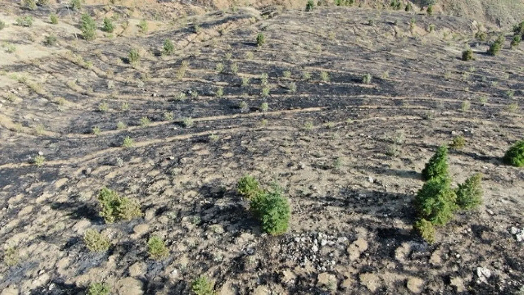 Elazığ'da yangın kontrol altına alındı
