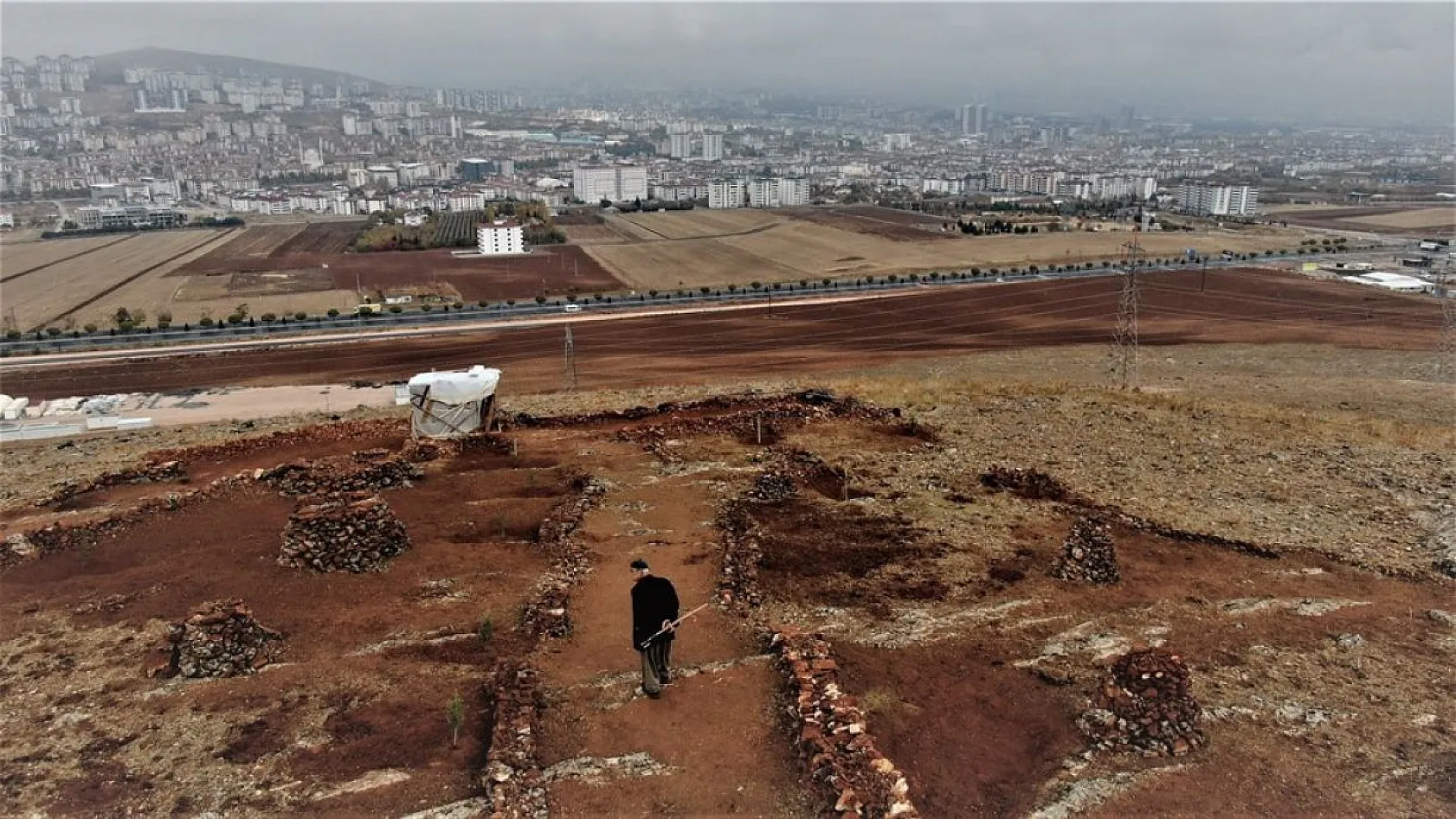 Evinin önündeki taşlık araziyi ormanlık araziye çevirdi