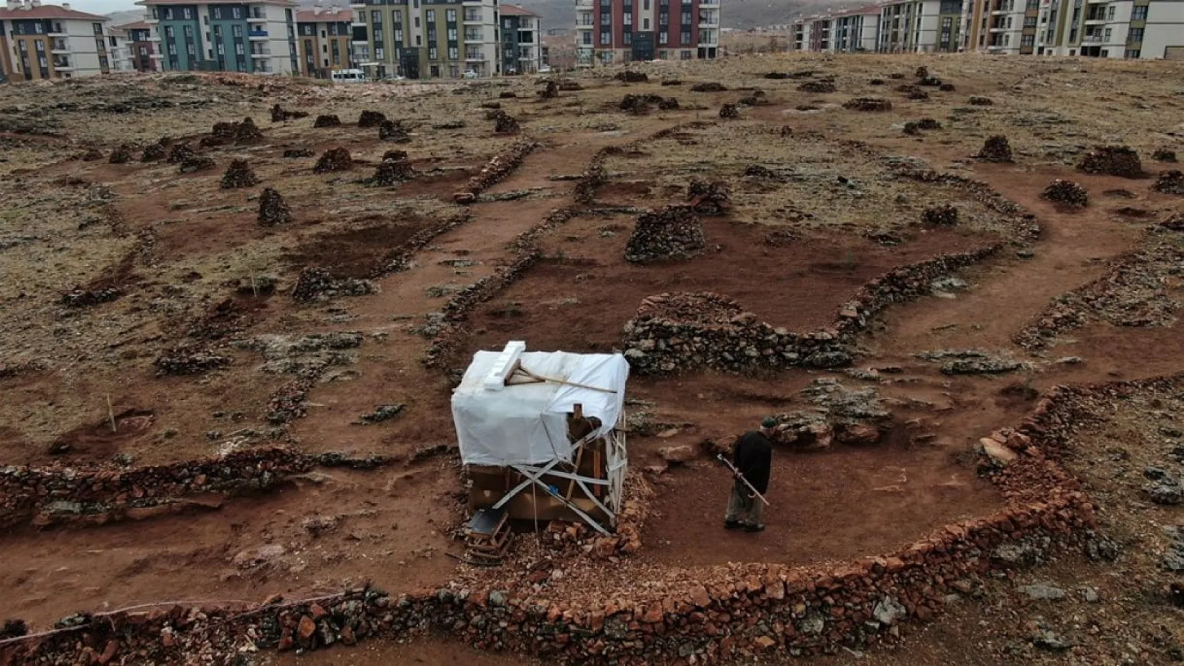 Evinin önündeki taşlık araziyi ormanlık araziye çevirdi