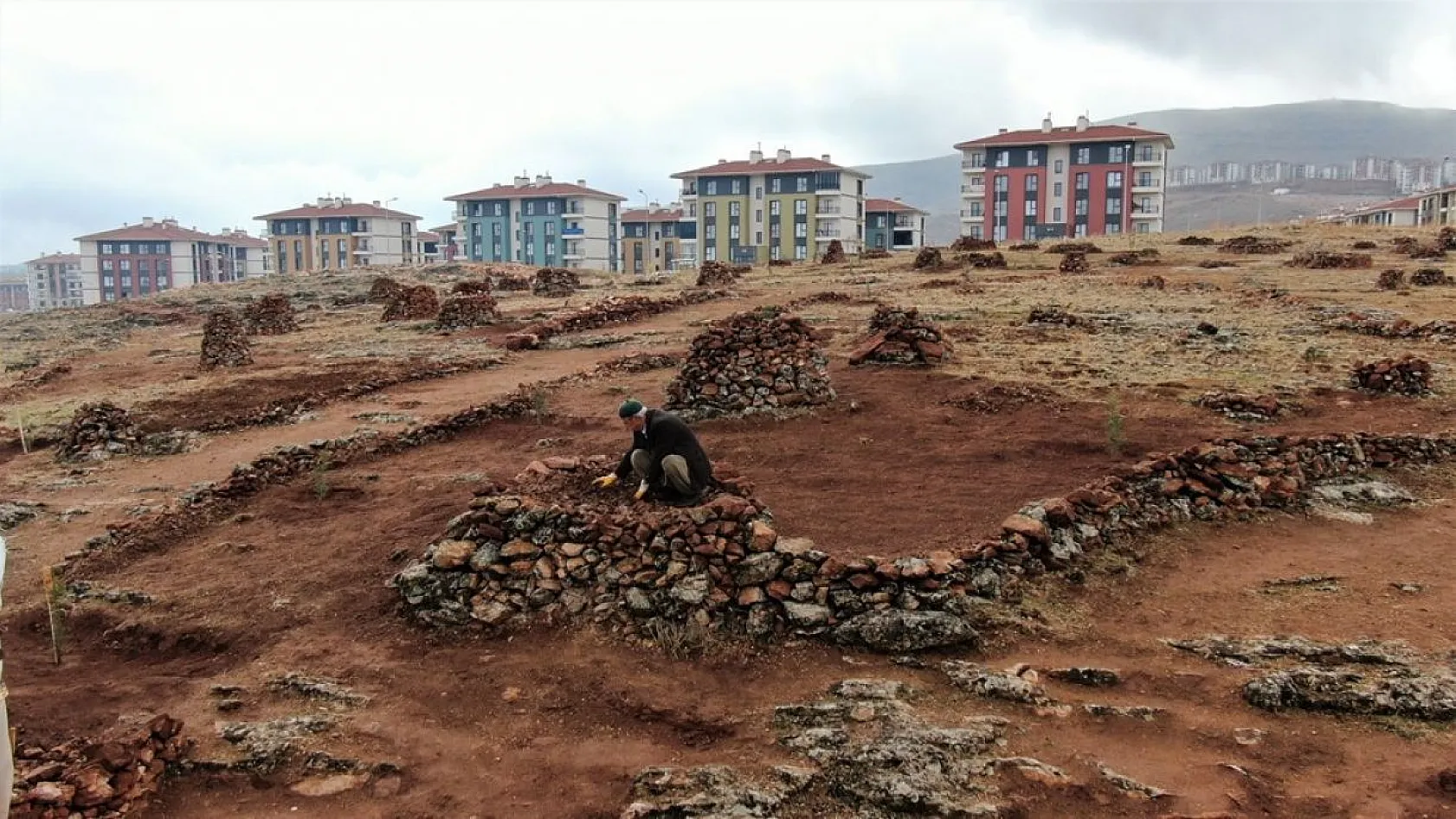 Evinin önündeki taşlık araziyi ormanlık araziye çevirdi