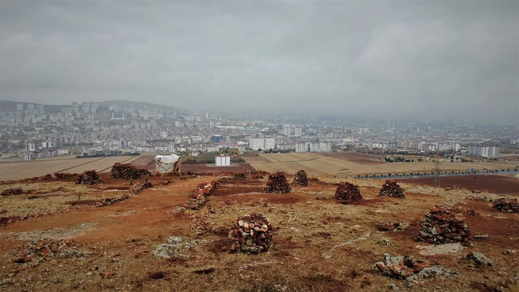 Evinin önündeki taşlık araziyi ormanlık araziye çevirdi