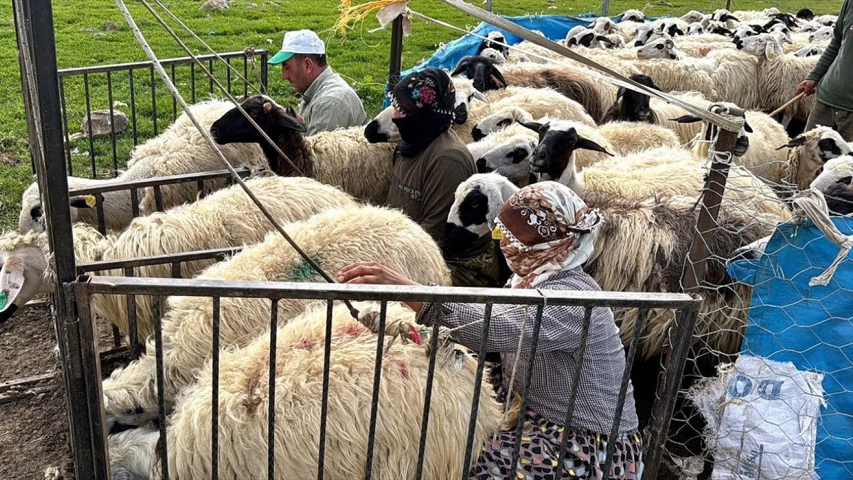 Göçer annelerin ömrü yolda ve çadırda geçiyor