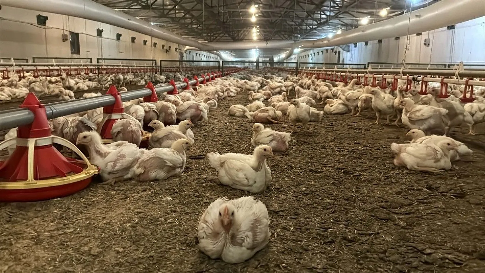 Gurbetten geldiği köyüne can verdi