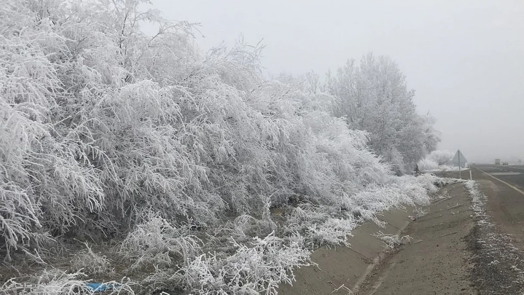 Kırağı ağaçları beyaza bürüdü