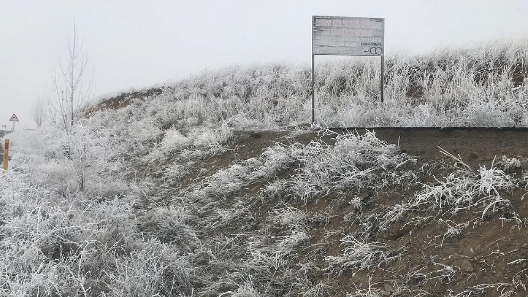 Kırağı ağaçları beyaza bürüdü
