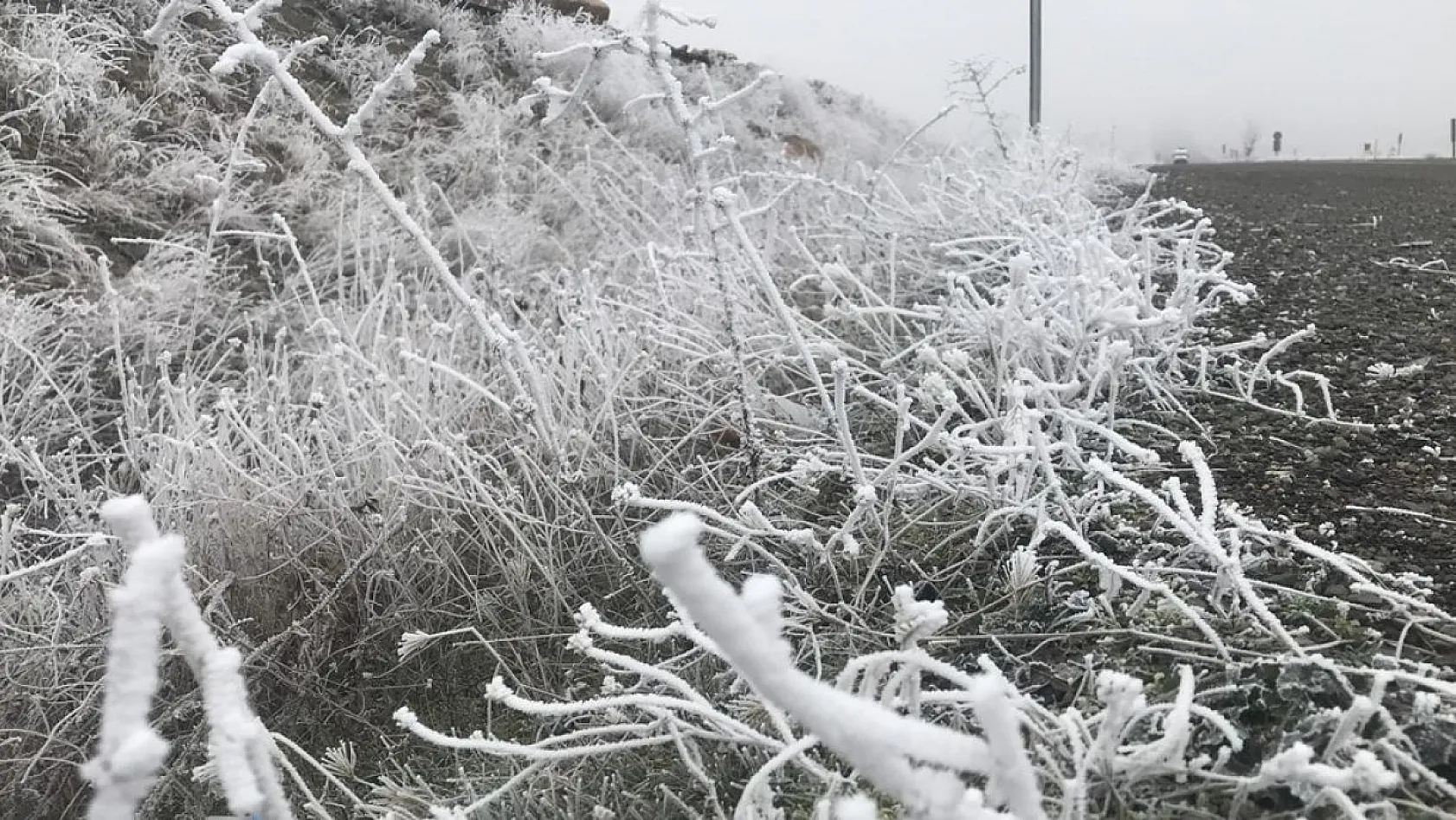Kırağı ağaçları beyaza bürüdü