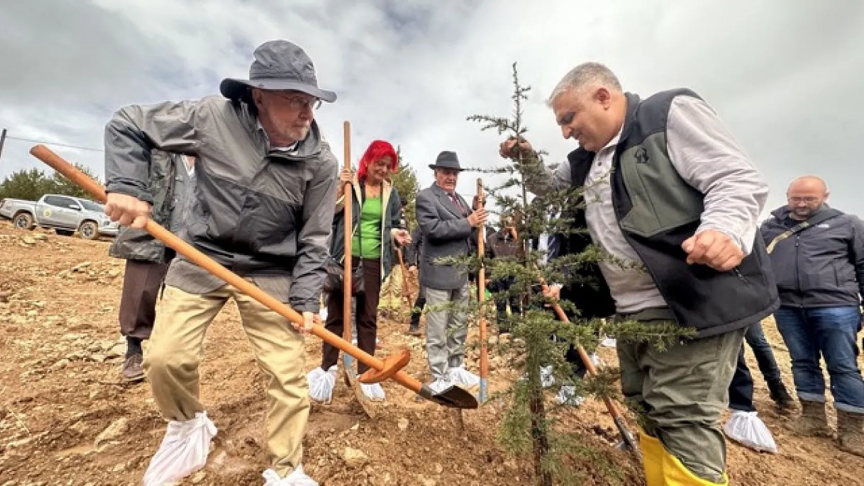 Prof. Dr. Melih Boydak Hatıra Ormanı'na fidan dikildi
