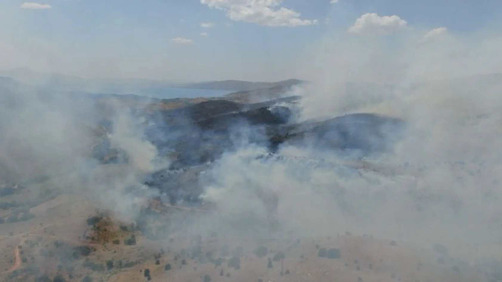 Elazığ'da orman yangını