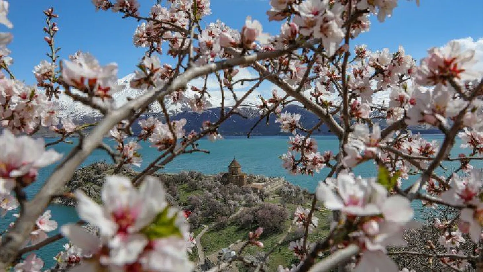 Çiçeklere bürünen Akdamar Adası görsel şölen sunuyor
