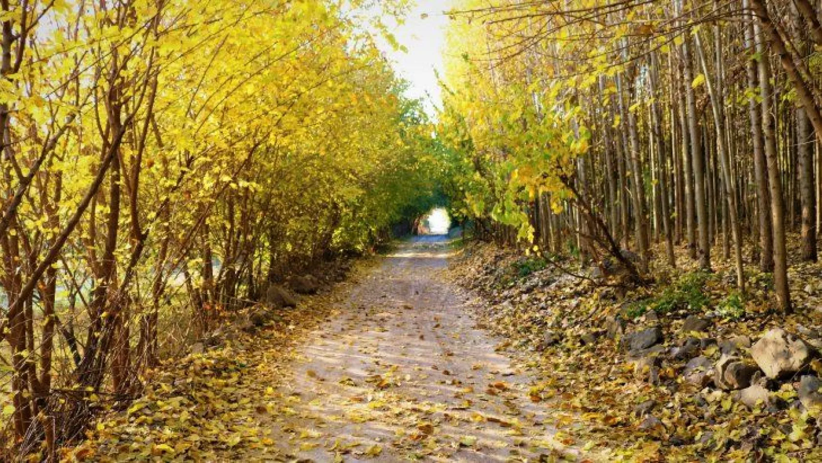 Diyarbakır'da sonbahar güzellikleri