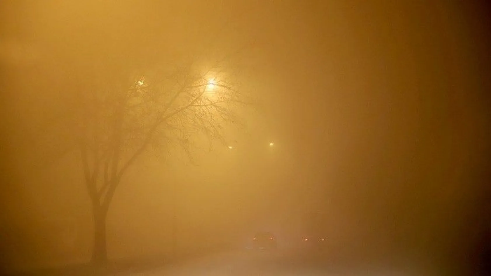 Elazığ'da yoğun sis