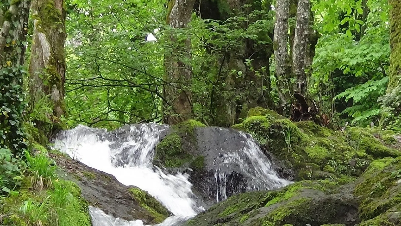 Kazdağları'nın eşsiz güzellikleri havadan görüntülendi