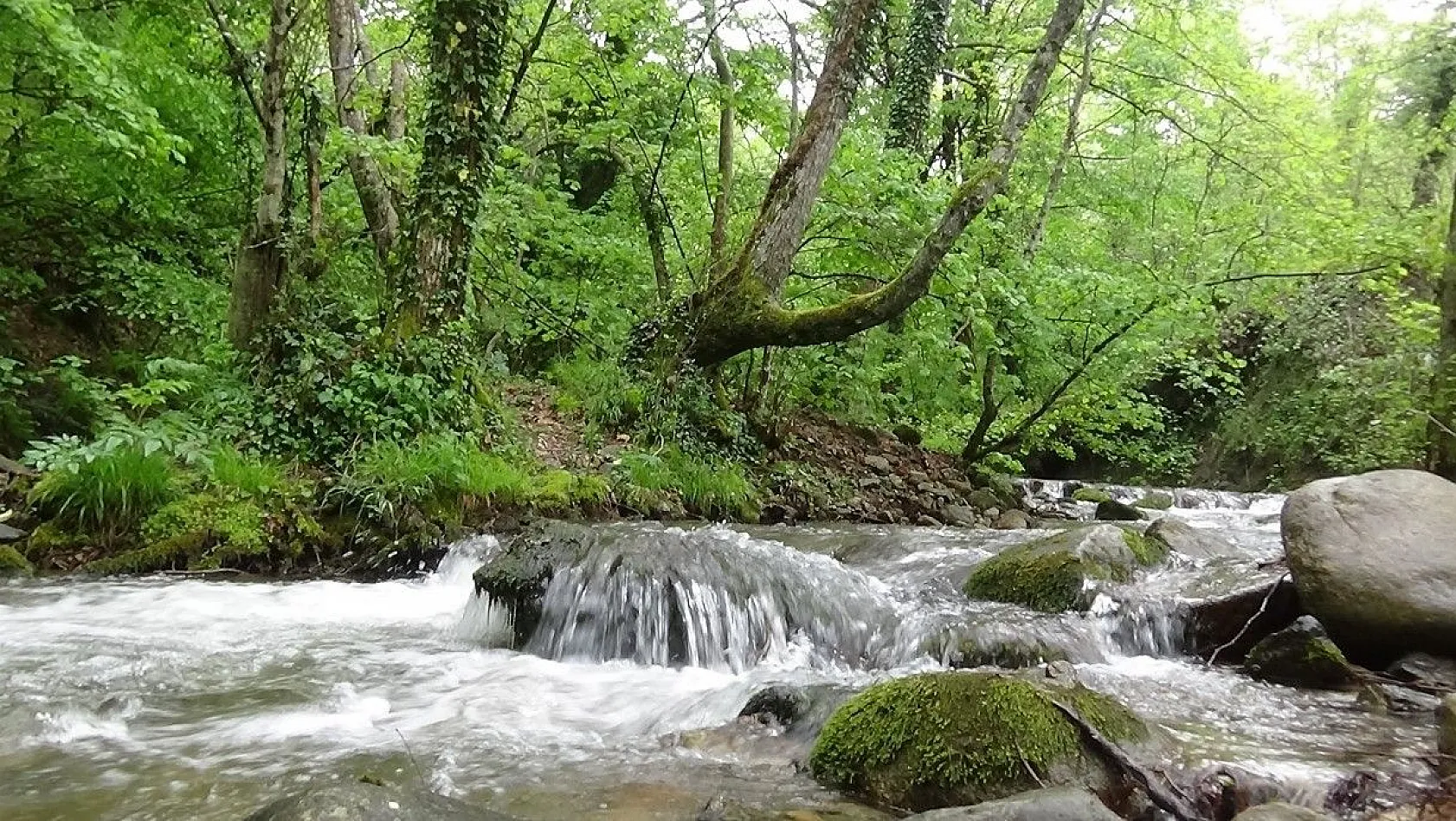 Kazdağları'nın eşsiz güzellikleri havadan görüntülendi