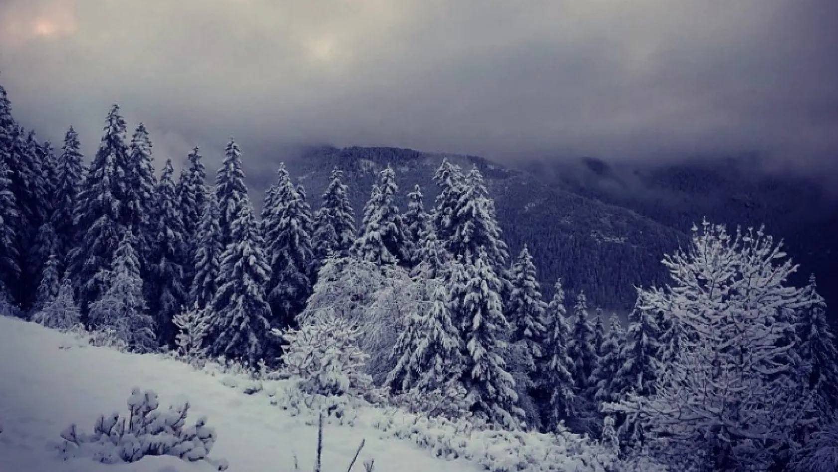 Giresun Yaylalarından kartpostallık kar manzaraları